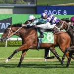 Top Australian Betting Strategies for the Queen Elizabeth Stakes